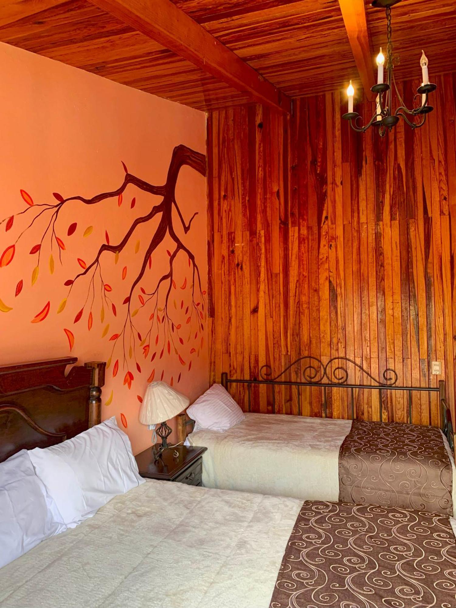 Hotel Real De La Sierra Мазамитла Экстерьер фото